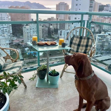 Traveler'S Beach Apartment With Sea View, Free Coffee & Parking بينايدورم المظهر الخارجي الصورة